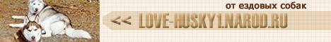 Love-Husky :: сибирский хаски